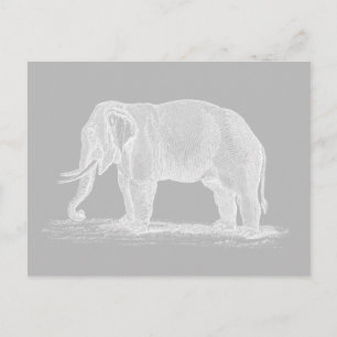 White Elephant Vintage 1800s Illustration Postcard
