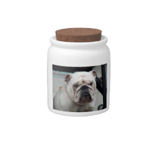 White English Bulldog Dog Treat Candy Jar