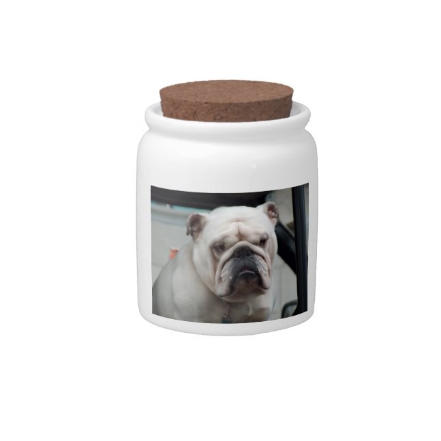 White English Bulldog Dog Treat Candy Jar (Front)