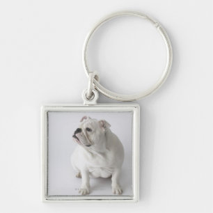 White English Bulldog Keychain