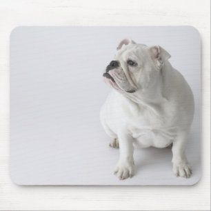 White English Bulldog Mouse Pad