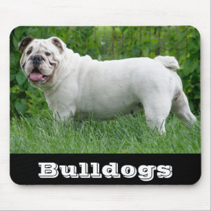 White English Bulldog Puppy Dog Mousepad