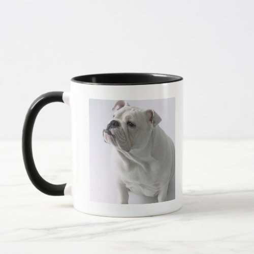 White English Bulldog sitting in studio Mug