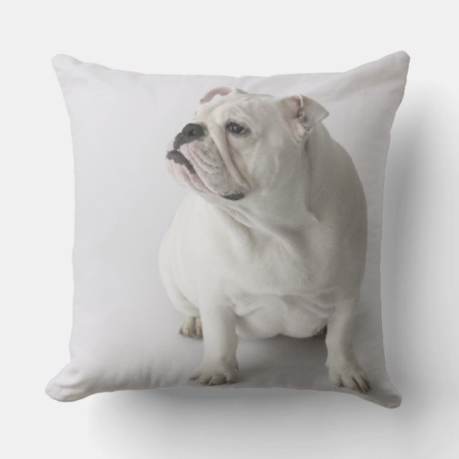 White English Bulldog Throw Pillow (Front)