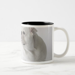 White English Bulldog Two-Tone Coffee Mug