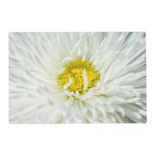 White English Daisy Flower Placemat