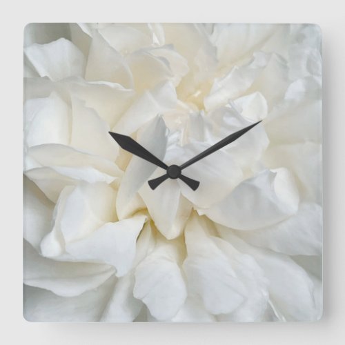 White English rose closeup Square Wall Clock