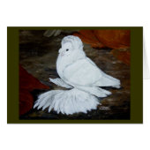 White English Trumpeter Pigeon (Front Horizontal)