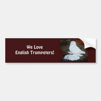 White English Trumpeter Pigeon Bumper Sticker
