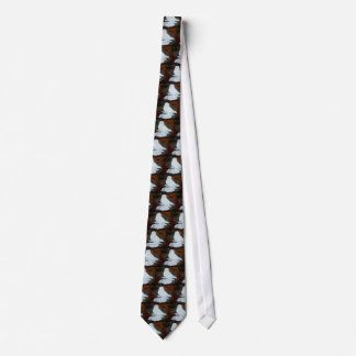 White English Trumpeter Pigeon Tie