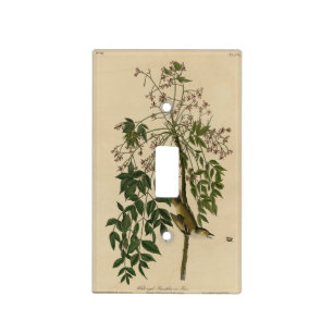 White-eyed Flycatcher - Audubon's Birds of America Light Switch Cover