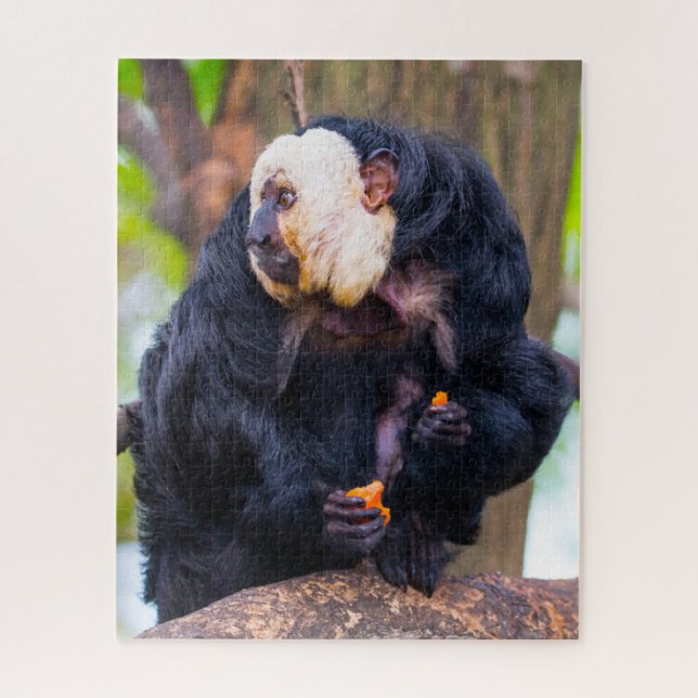 White Face Saki Monkey. Jigsaw Puzzle (Vertical)