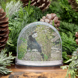 White -faced  black kitty snow globe