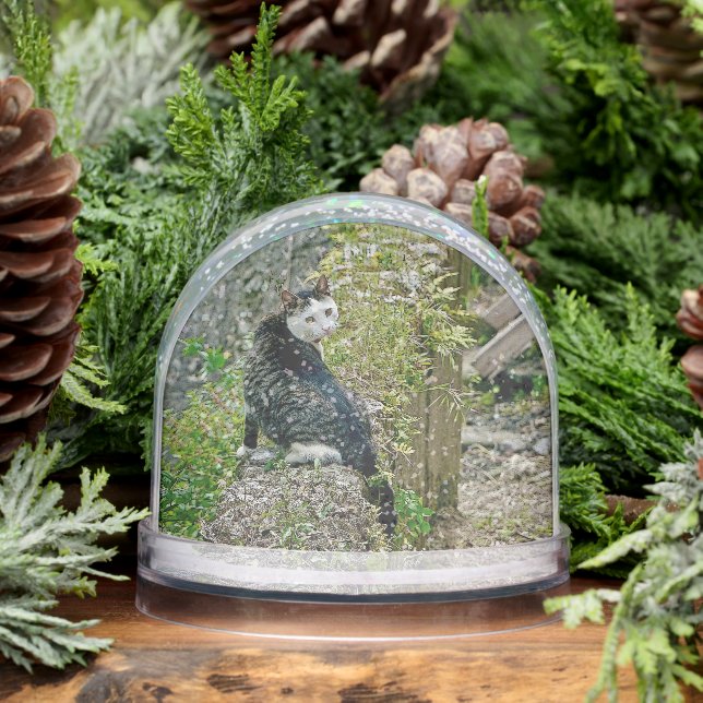 White -faced  black kitty snow globe (Winter)
