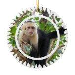 White Faced Capuchin Monkey Ornament