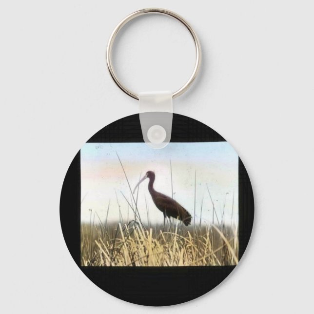 White-faced Ibis Keychain (Front)