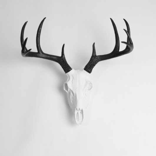 White Faux Deer Skull with Black Antlers (Front)