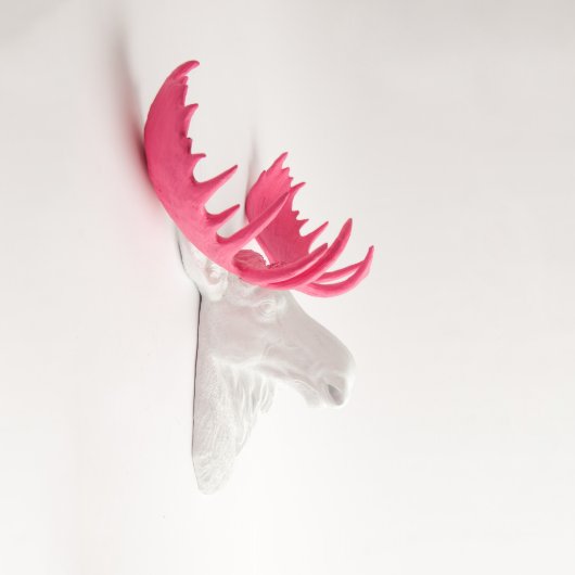 White Faux Moose Head with Pink Antlers (3/4)