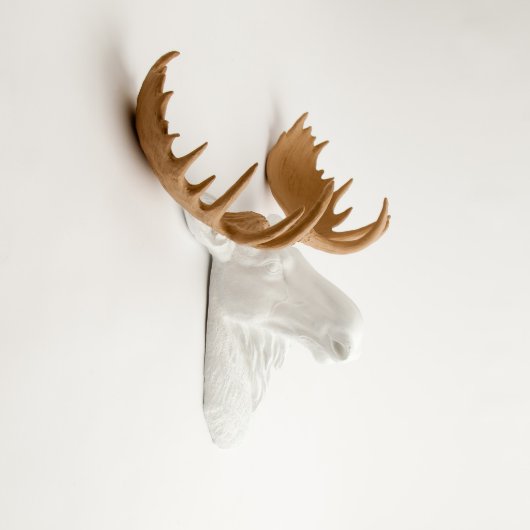 White Faux Moose Head with Tan Antlers (3/4)