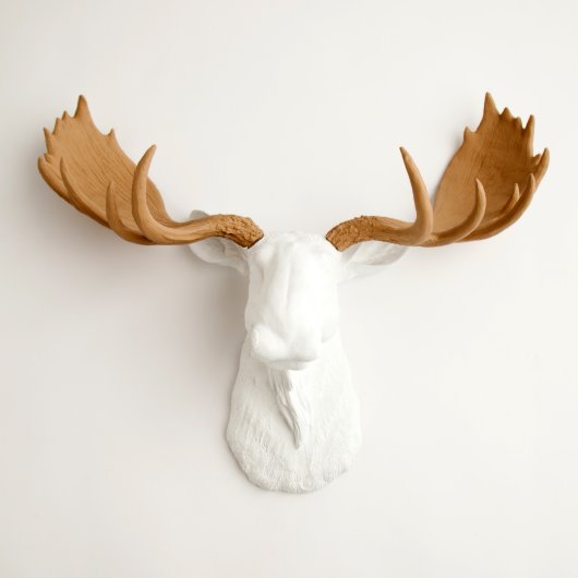 White Faux Moose Head with Tan Antlers (Front)
