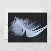 White feather - angelic by nature (Front)