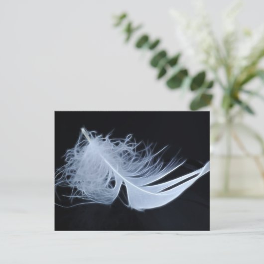 White feather - angelic by nature (Standing Front)