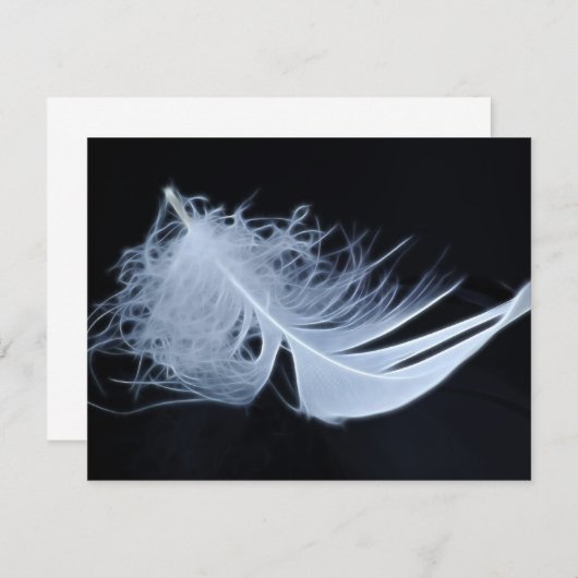 White feather - angelic by nature (Front/Back)