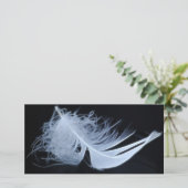 White feather - angelic by nature (Standing Front)