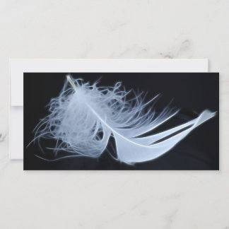 White feather - angelic by nature