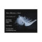 White feather - angelic by nature