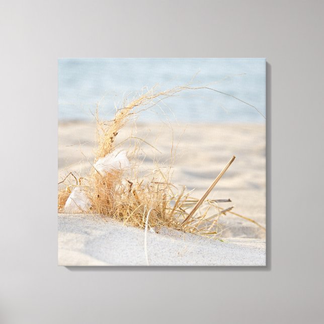 White feather in beach grass canvas print (Front)
