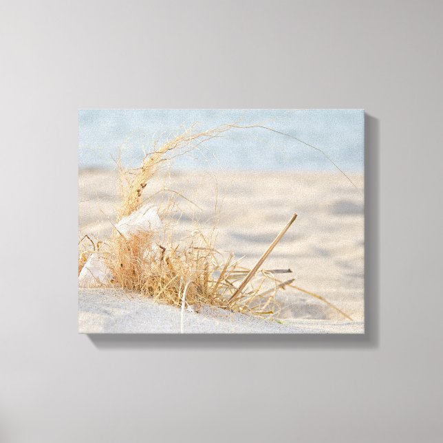 White feather in beach grass canvas print (Front)