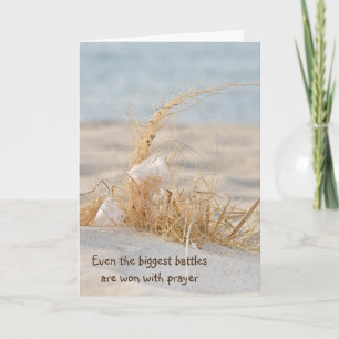 White Feather In Beach Grass Card