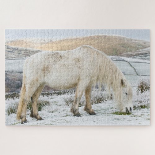 White Fell Pony on Moorland in Winter Jigsaw Puzzle