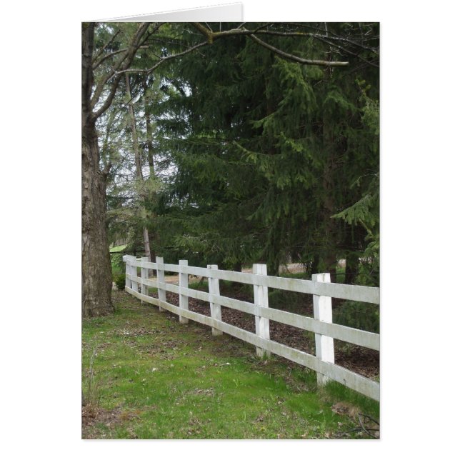 White Fence Cards (Front)