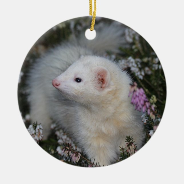 White Ferret in Flowers Ceramic Ornament (Front)