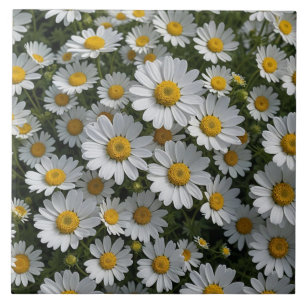 White Feverfew Flowers Ceramic Tile