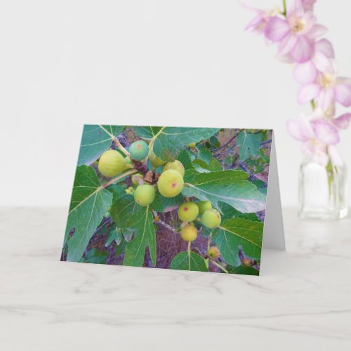 White Figs on Tree Card