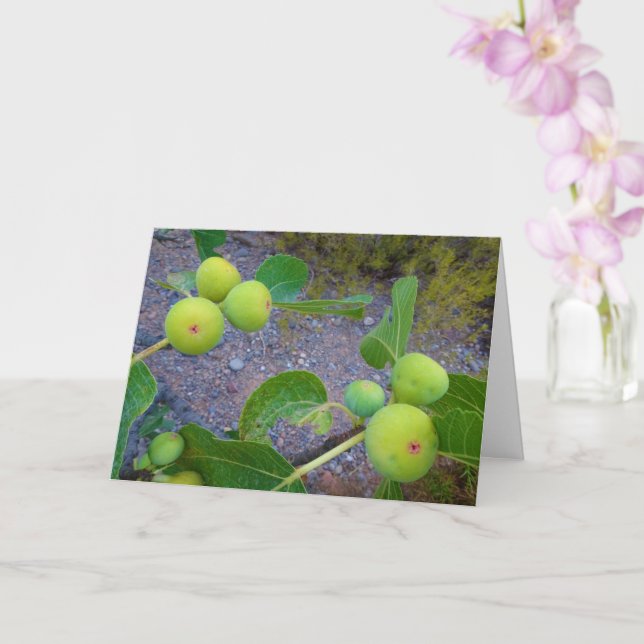 White Figs on Tree Card (Orchid)