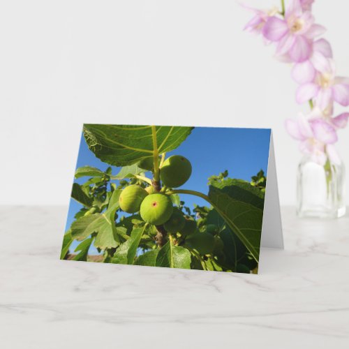 White Figs on Tree Card