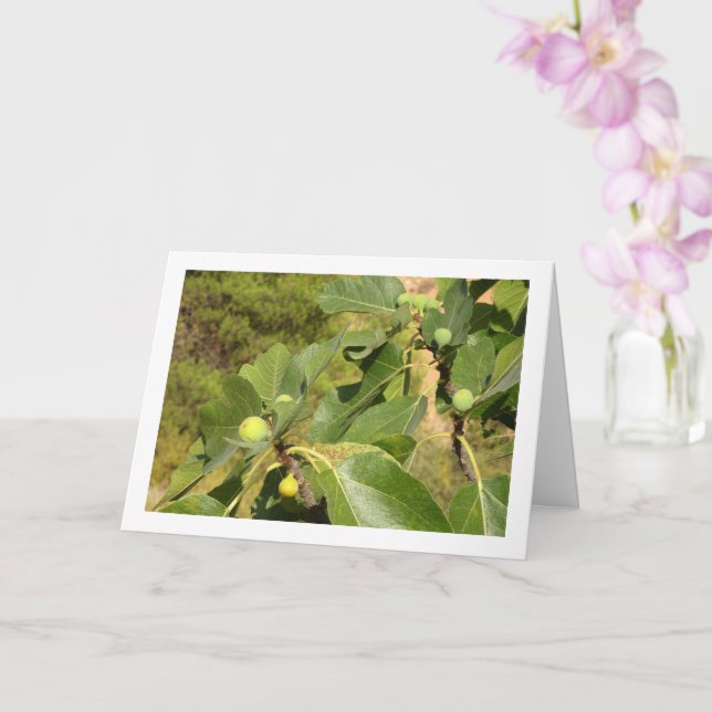 White Figs on Tree Portrait Card (Orchid)