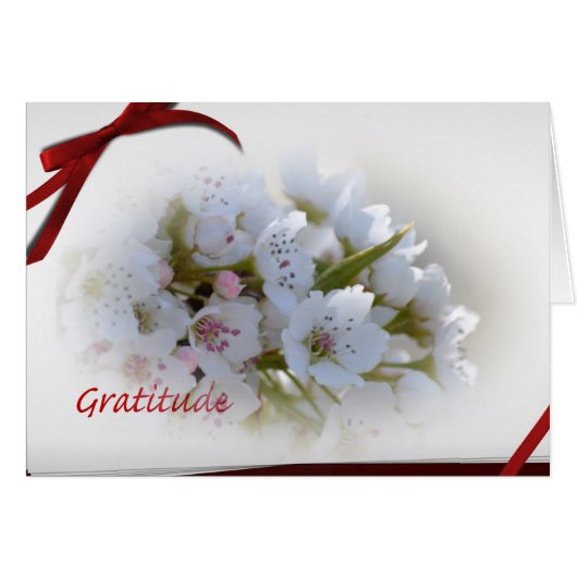White Floral Gratitude Notes (Front Horizontal)