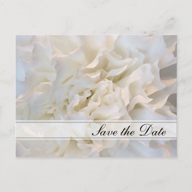 White Floral Quinceañera Save the Date Announcement Postcard (Front)