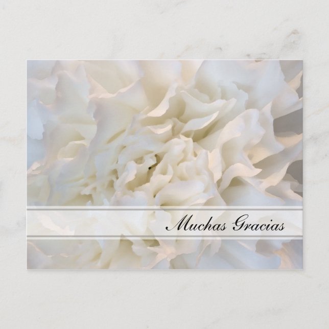 White Floral Spanish Thank You Postcard (Front)