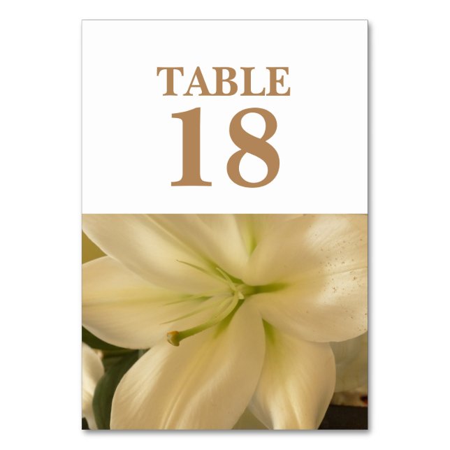 White Floral Wedding Table Cards (Front)