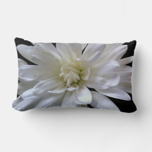 White floral white daisy white mum white flower lumbar pillow