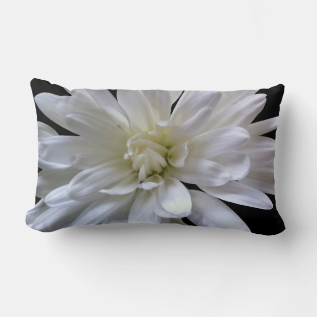 White floral white daisy white mum white flower lumbar pillow (Front)
