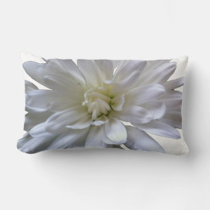 White floral white daisy white mum white flower lumbar pillow
