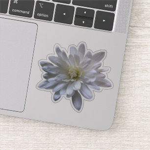 White floral white daisy white mum white flower sticker