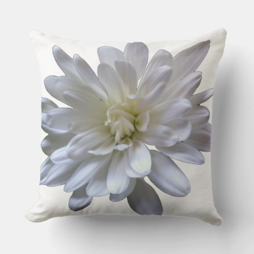 White floral white daisy white mum white flower throw pillow